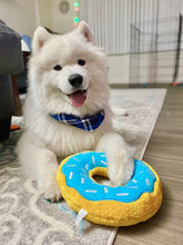 Load image into Gallery viewer, Marina Bandana