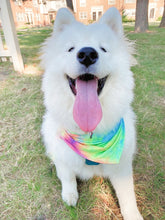 Load image into Gallery viewer, Electric Feel Bandana