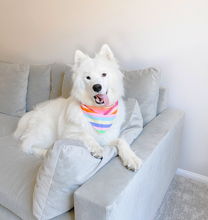 Load image into Gallery viewer, Feelin' Bright Bandana