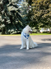 Load image into Gallery viewer, Wipe Your Blues Away Bandana