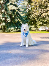 Load image into Gallery viewer, Wipe Your Blues Away Bandana