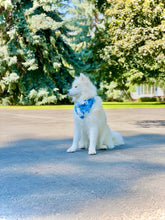 Load image into Gallery viewer, Wipe Your Blues Away Bandana