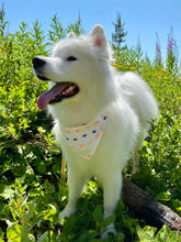 Load image into Gallery viewer, City That Never Sleeps Bandana