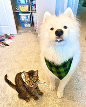 Load image into Gallery viewer, Green Buffalo Check Bandana