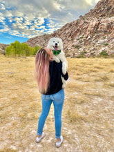 Load image into Gallery viewer, Green Buffalo Check Bandana