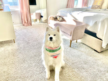 Load image into Gallery viewer, Radio City Music Bandana