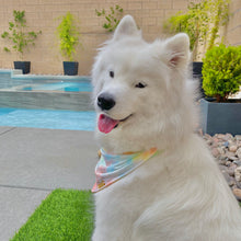 Load image into Gallery viewer, Rainbow Sherbet Bandana