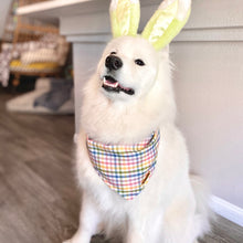 Load image into Gallery viewer, Pastel Picnic Bandana