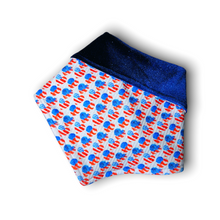 Load image into Gallery viewer, Home of the Brave Bandana