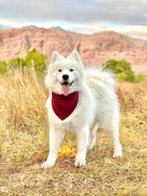 Load image into Gallery viewer, MOMA Bandana