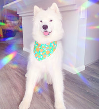 Load image into Gallery viewer, Anaranja-dough Bandana