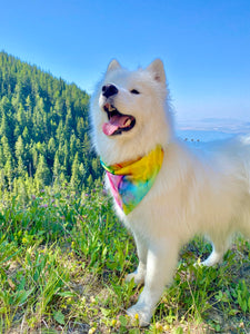 Livin' Life on the Edge Bandana